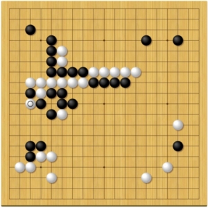 第４４期囲碁天元戦第１局